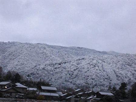 薄く雪化粧の朝になりました・・金曜日