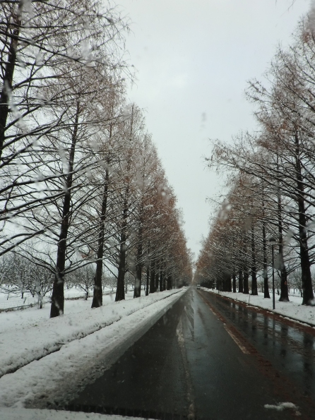 青い空と・・雪の空