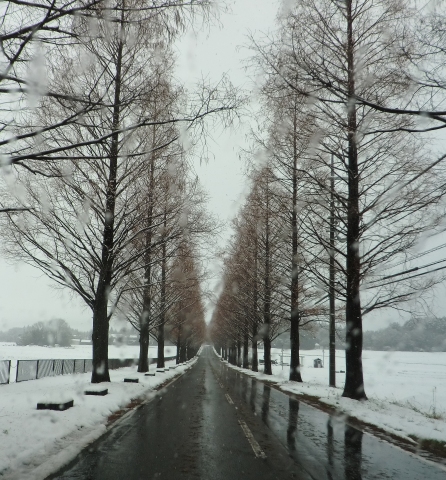 青い空と・・雪の空