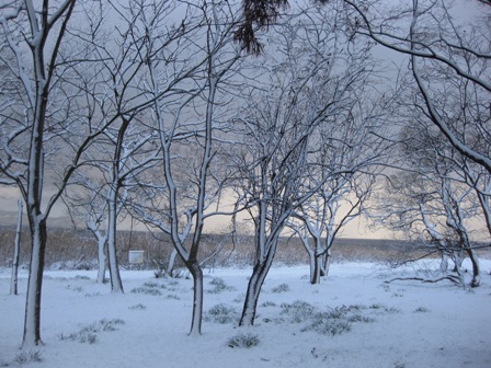 琵琶湖・・雪化粧