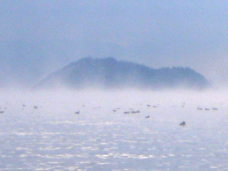 冷え切って・・琵琶湖