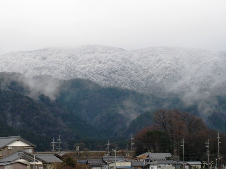 生け垣・棚・竹藪・お山雪