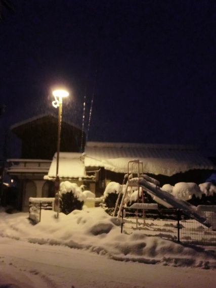 朝から降雪