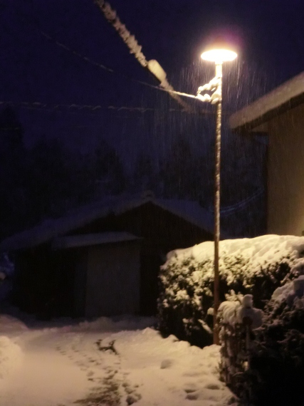 朝から降雪