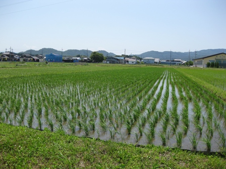 一年を振り返ると・・
