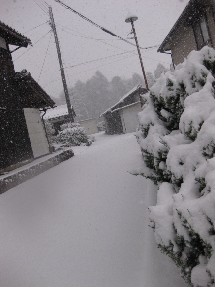 雪降って・・積雪してます大晦日