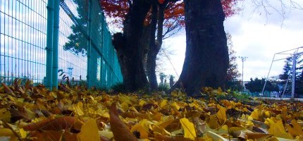 校庭で、ふと・・