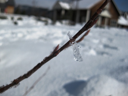 雪のある休日・・ぶらり家の周辺