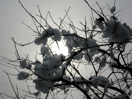 雪ばかり・・ですが。