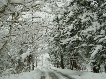雪ばかり・・ですが。