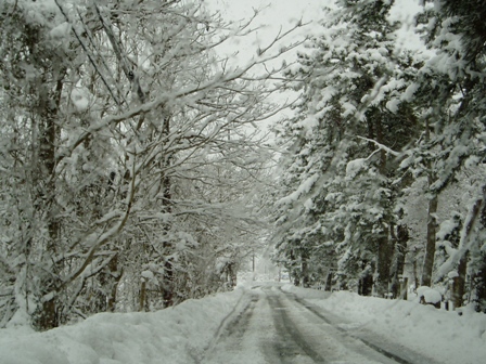雪ばかり・・ですが。