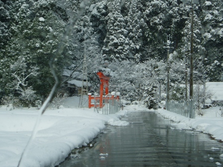 雪ばかり・・ですが。