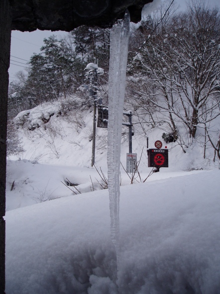 雪ばかり・・ですが。