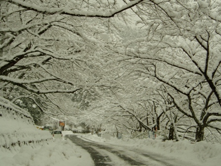 雪ばかり・・ですが。