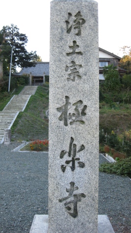 今日、見えたもの