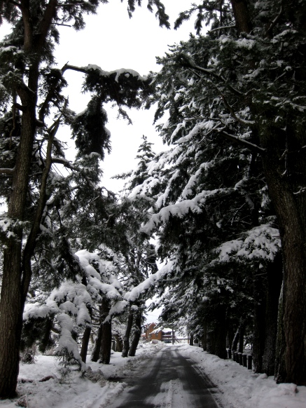 早朝は降雪中・・でもお日様も