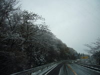 国境スキー場うっすら雪