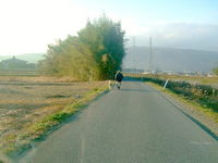 冬田道