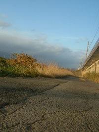 冬田道