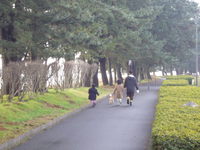 小さく動き回った
