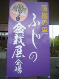 ふじ　の盆栽展
