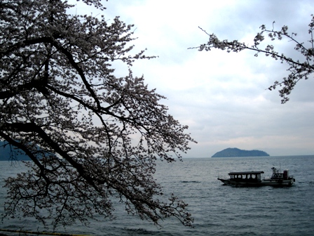 桜曇り・・海津大崎