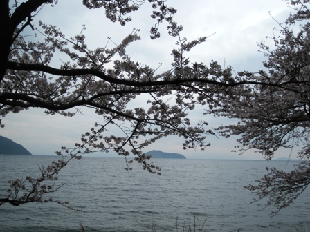 桜曇り・・海津大崎