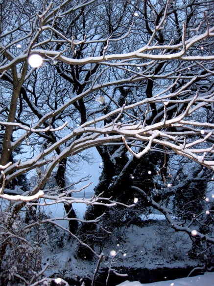 雪遊び・・・イベント少々