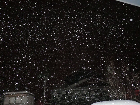 粉雪・・夜明け前