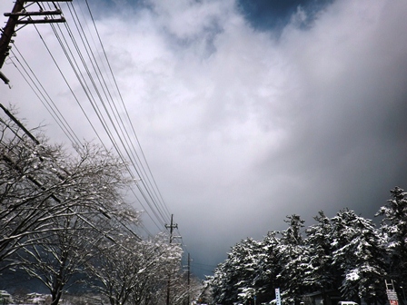 雪もおしまい・・冷たかった