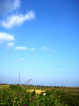 爽やか・・風景。でも頓珍漢
