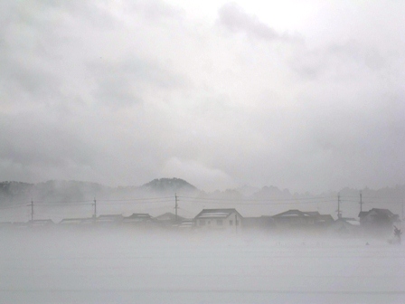 濃霧は晴れが似合うんですが・・・
