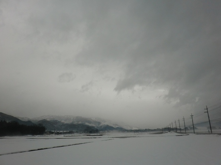 濃霧は晴れが似合うんですが・・・