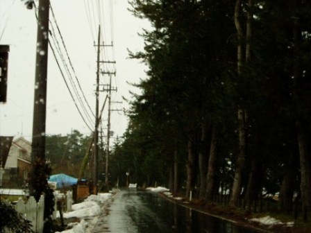 北は冬、南は春の高島市