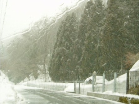北は冬、南は春の高島市