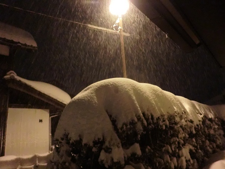 激雪・・50センチほど積雪