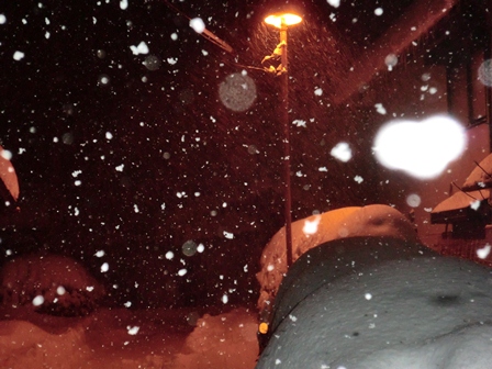 激雪・・50センチほど積雪