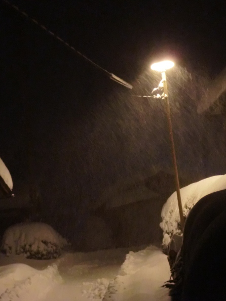 激雪・・50センチほど積雪