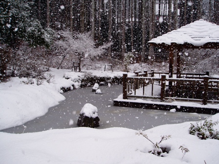 ﾏｷﾉ高原、箱館山、酒波寺、想い出の森、新旭風車・・の雪模様