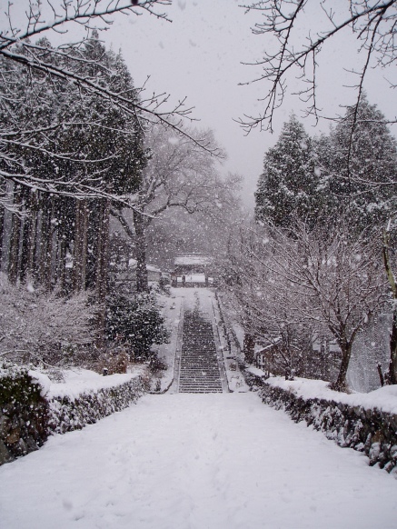 ﾏｷﾉ高原、箱館山、酒波寺、想い出の森、新旭風車・・の雪模様