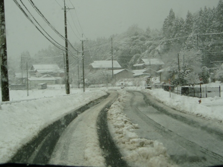 ﾏｷﾉ高原、箱館山、酒波寺、想い出の森、新旭風車・・の雪模様