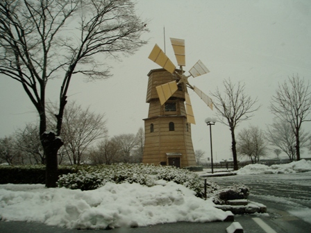 ﾏｷﾉ高原、箱館山、酒波寺、想い出の森、新旭風車・・の雪模様