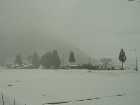 ﾏｷﾉ高原、箱館山、酒波寺、想い出の森、新旭風車・・の雪模様