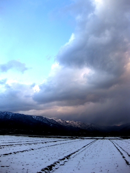 今日も雪でした・・100M走