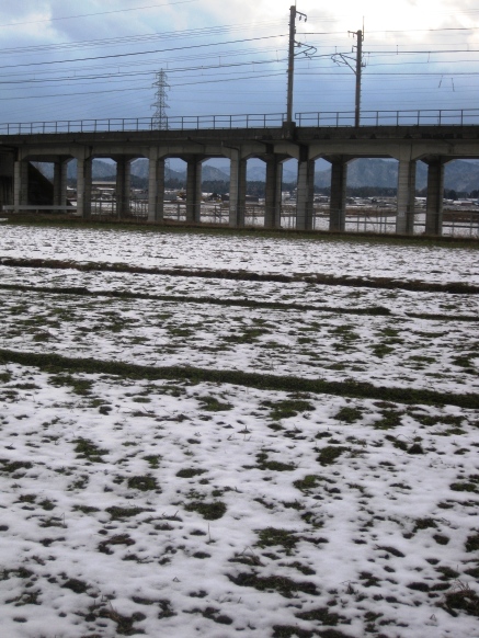 今日も雪でした・・100M走