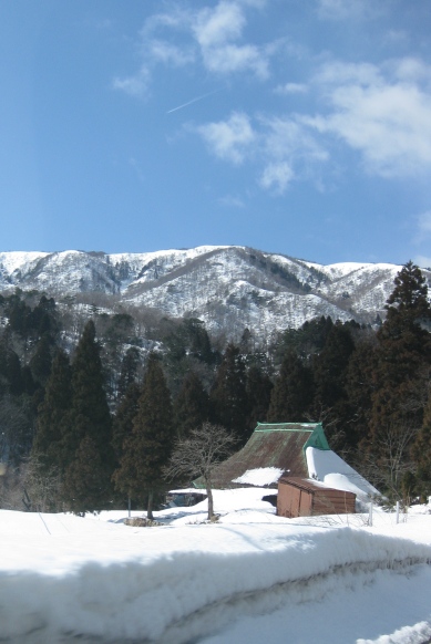 菜の花・守山からマキノ町国境・・雪里まで