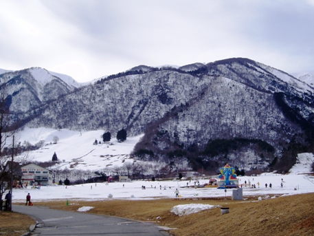 菜の花・守山からマキノ町国境・・雪里まで