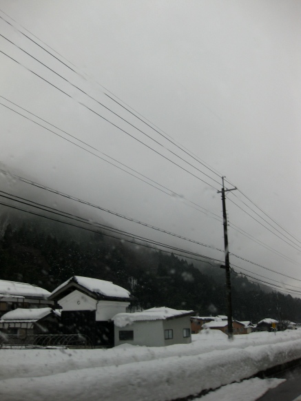 緩い日曜でした