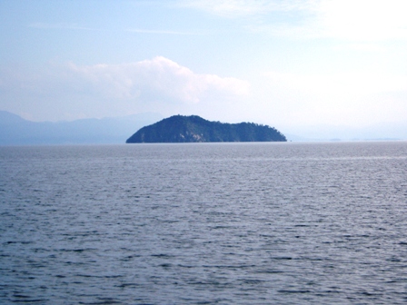 コハクチョウ２・・抱きしめてＢＩＷＡＫＯ・・琵琶湖