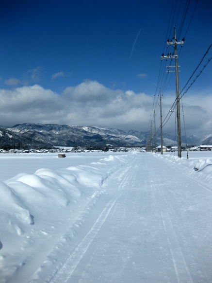 雪の峠は越えて・・冬晴れの碧